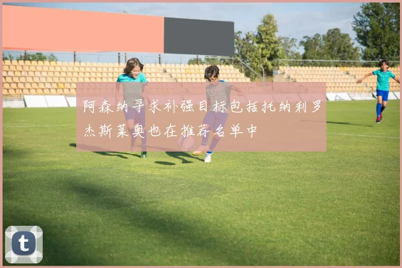 阿森纳寻求补强目标包括托纳利罗杰斯莱奥也在推荐名单中