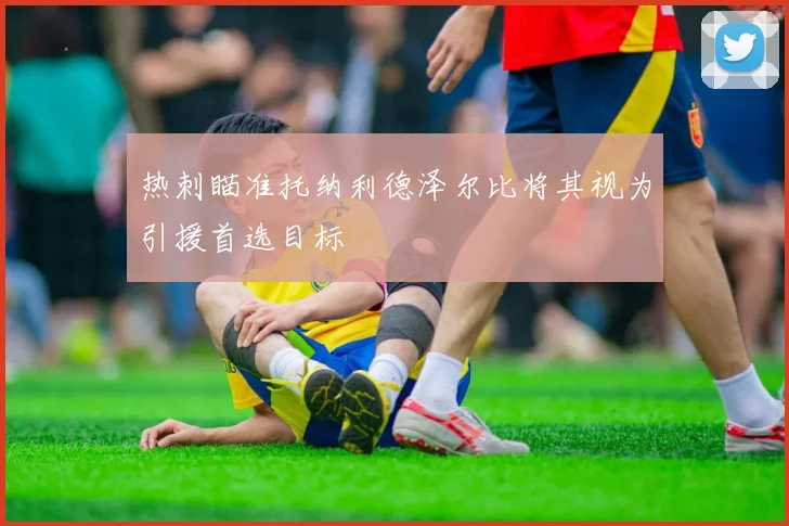 热刺瞄准托纳利德泽尔比将其视为引援首选目标