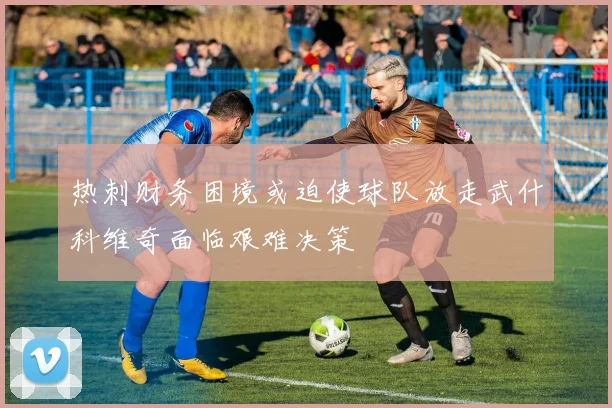 热刺财务困境或迫使球队放走武什科维奇面临艰难决策